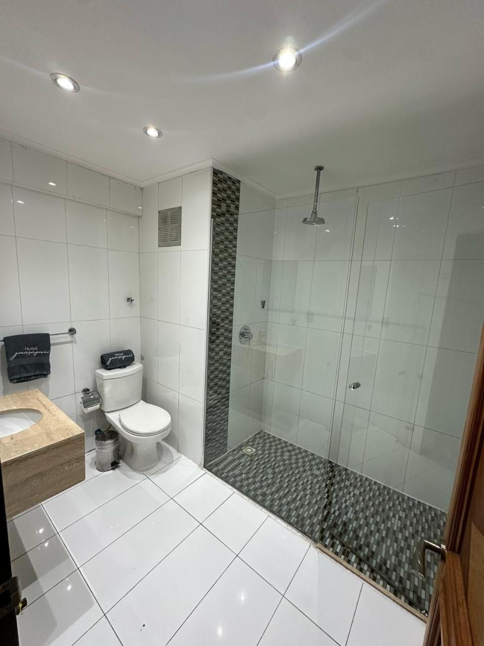 Hotel Guayaquil Сантьяго Экстерьер фото